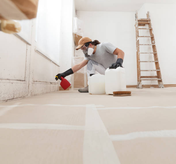 Best Mold Removal for HVAC Installations  in Belmont, CA