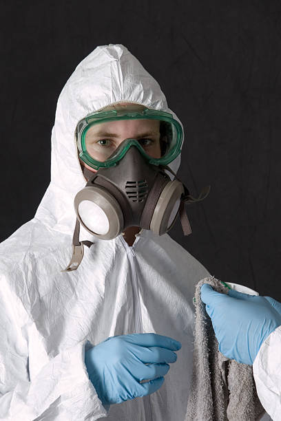 Reliable Belmont, CA Mold Removal Solutions